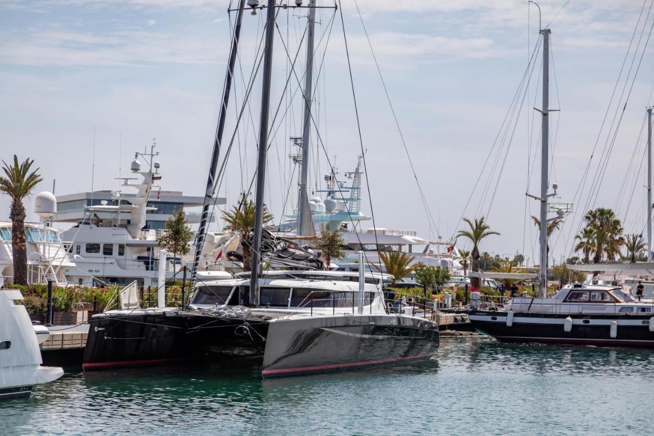 バレンシアTravel Habitat La Marina Realアパートメント エクステリア 写真